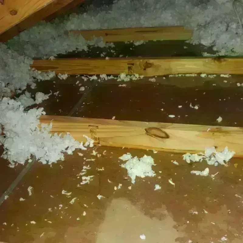 Attic Water Damage in Madison, IN