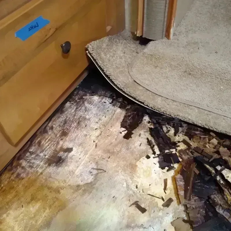 Best Wood Floor Water Damage Service in Madison, IN